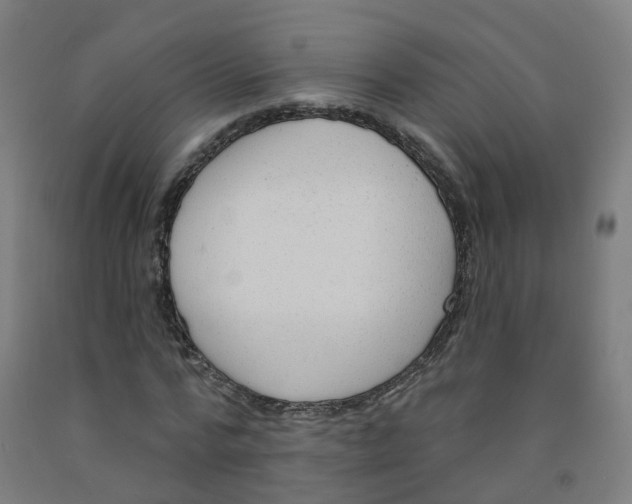 X0000091970776200709271406