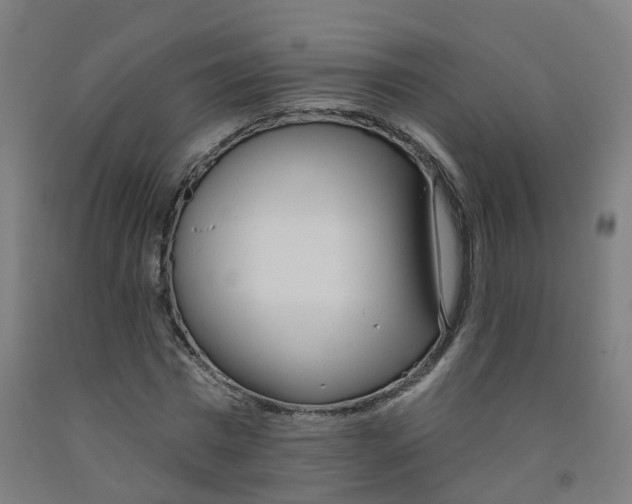 X0000091970777200709271406