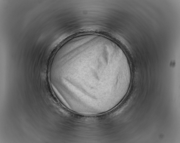 X0000091970778200709271406