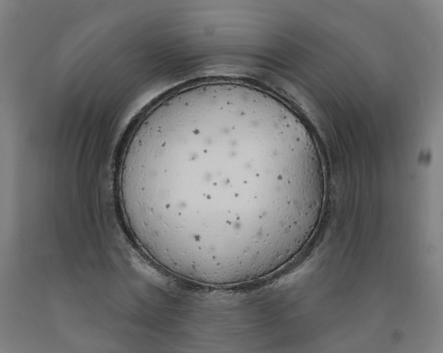 X0000091970779200709271406