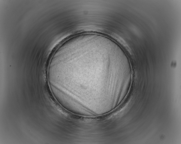 X0000091970782200709271406