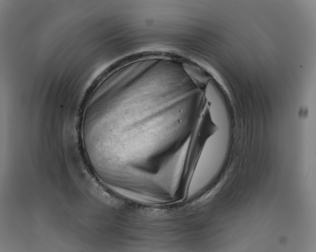 X0000091970783200709271406