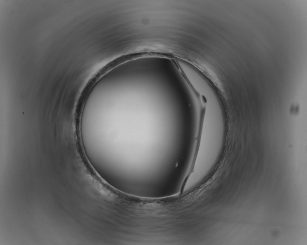 X0000091970784200709271406