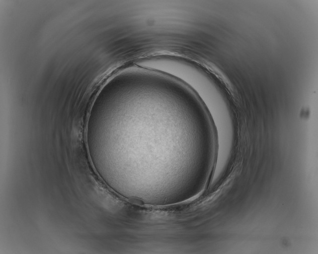 X0000091970785200709271406