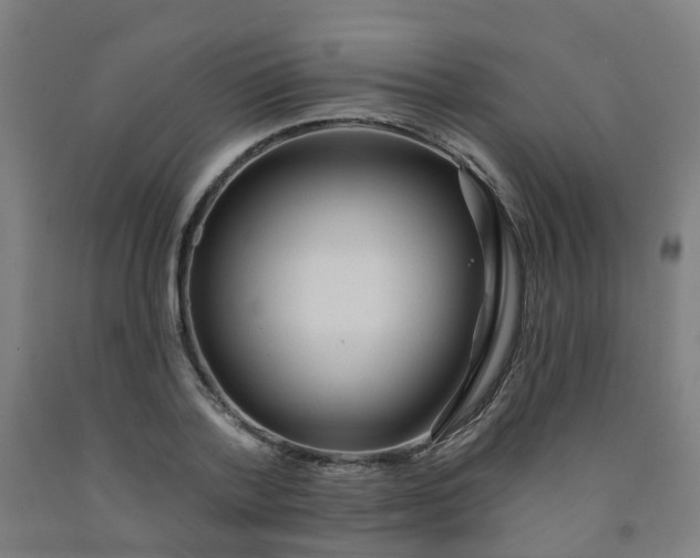 X0000091970788200709271406