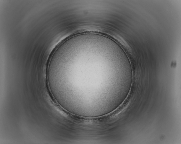 X0000091970790200709271406