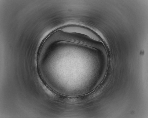 X0000091970791200709271406
