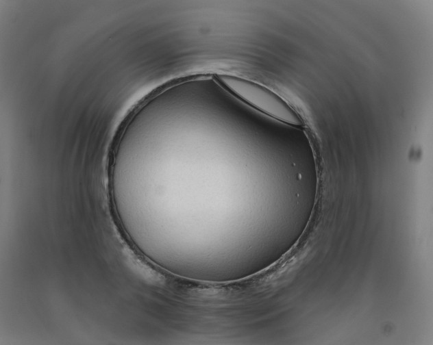 X0000091970792200709271406