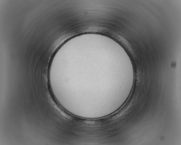 X0000091970794200709271406
