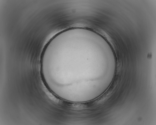 X0000091970795200709271406