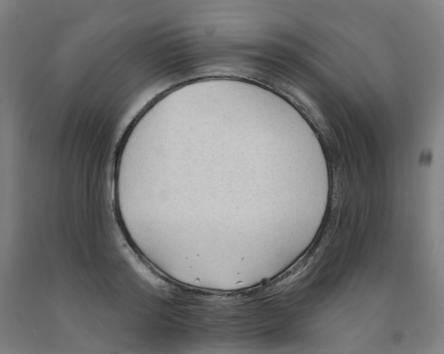 X0000091970796200709271406