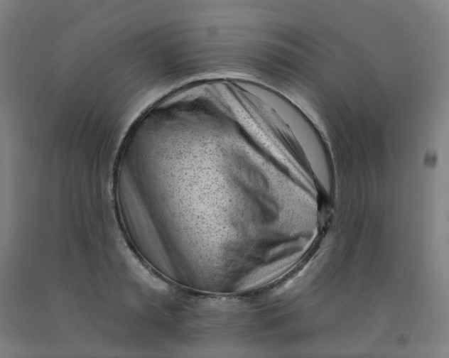 X0000091970797200709271406