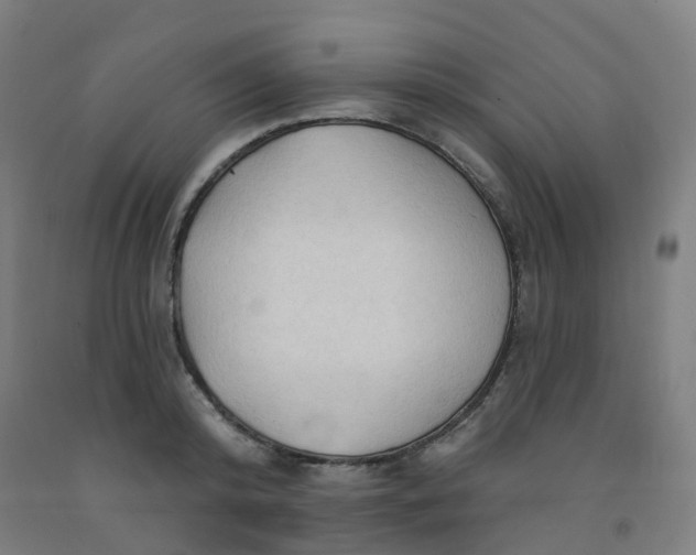X0000091970800200709271406