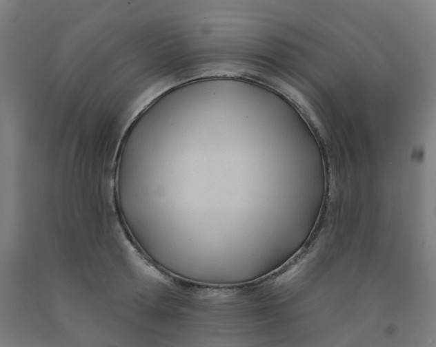 X0000091970802200709271406