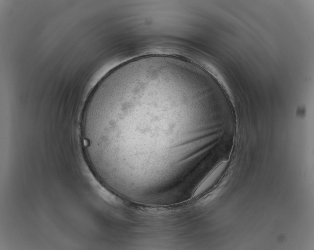 X0000091970803200709271406