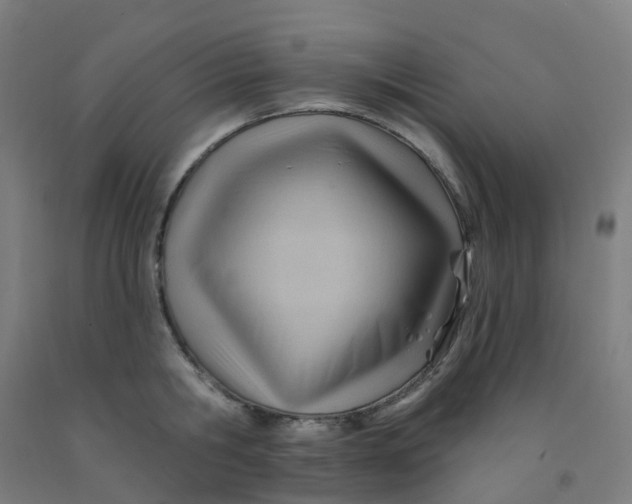 X0000091970806200709271406