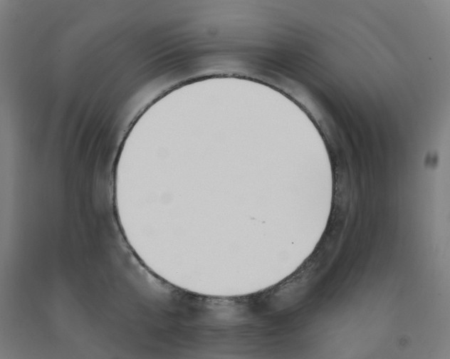 X0000091970807200709271406
