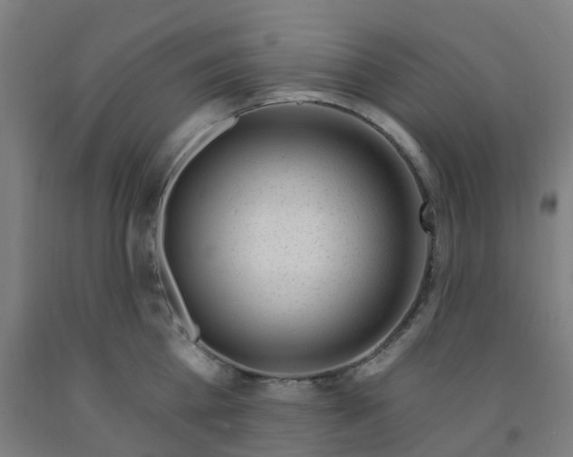 X0000091970809200709271406