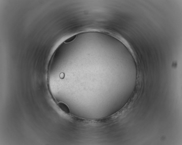 X0000091970811200709271406