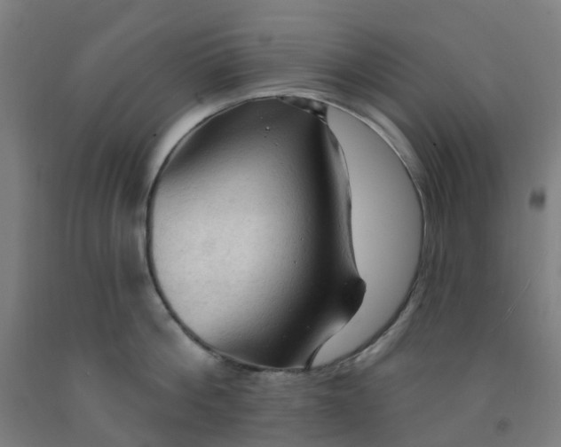 X0000091970812200709271406
