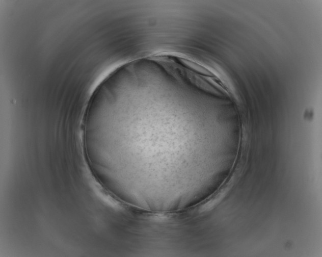 X0000091970814200709271406