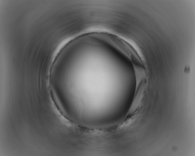 X0000091970815200709271406