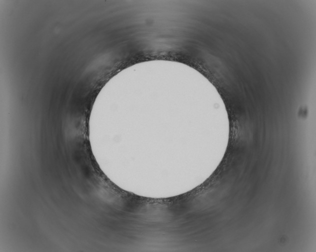 X0000091970820200709271405