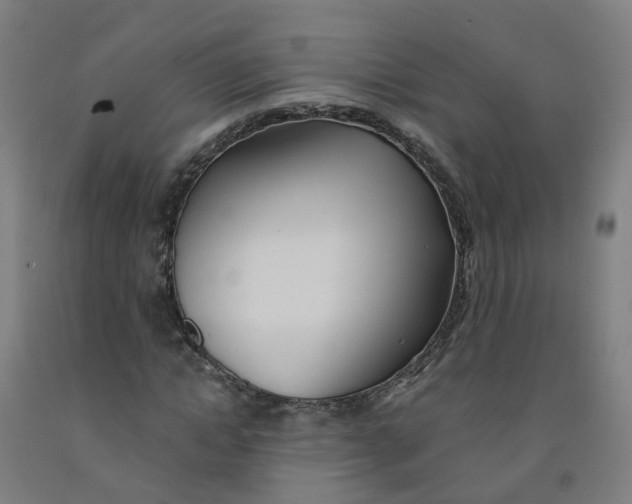 X0000091970822200709271405
