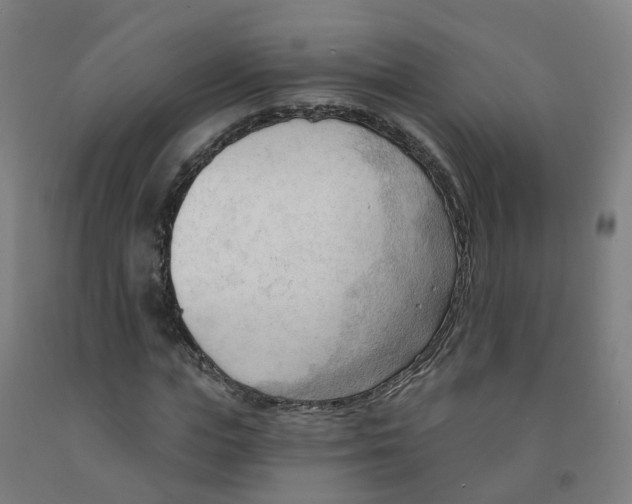 X0000091970823200709271405