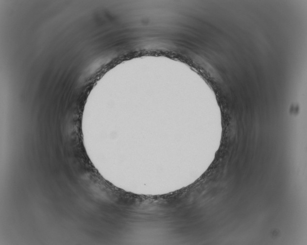 X0000091970824200709271405