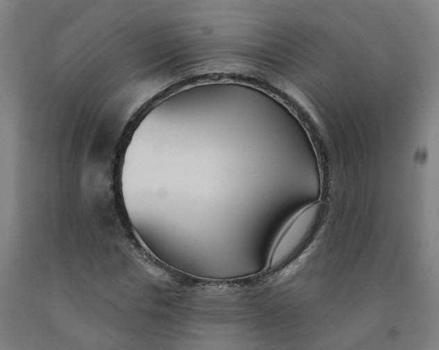 X0000091970826200709271405
