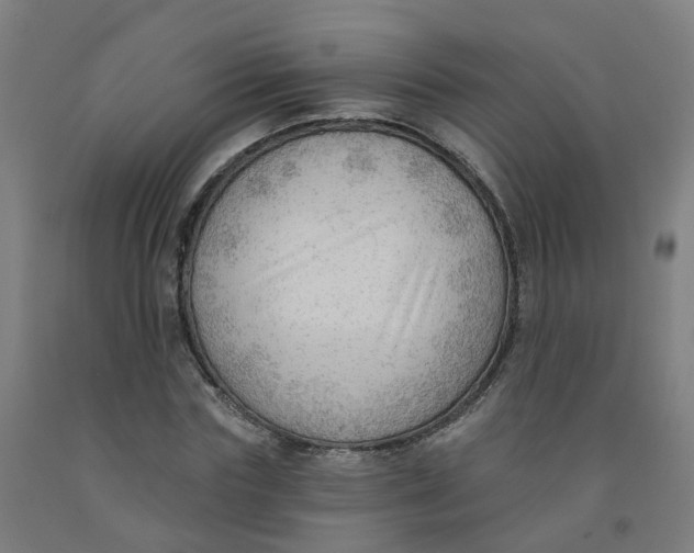 X0000091970827200709271405