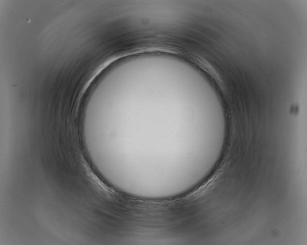X0000091970828200709271405