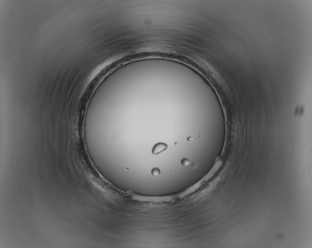 X0000091970830200709271405