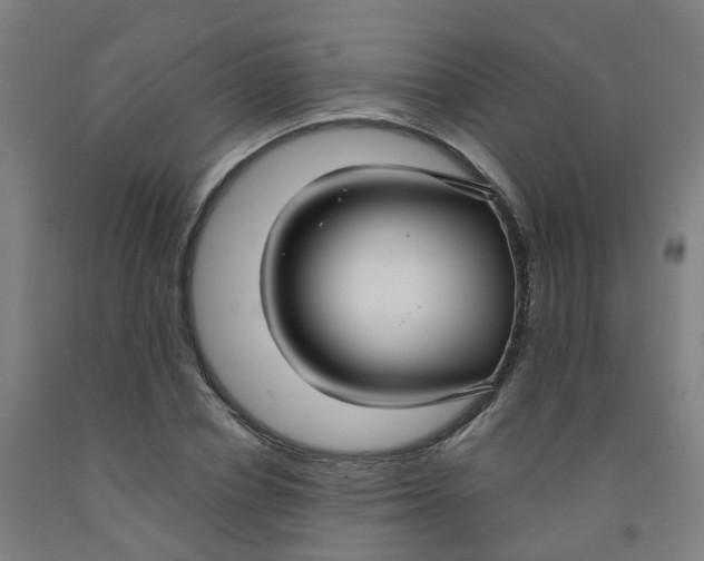 X0000091970834200709271405