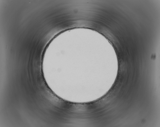 X0000091970836200709271405