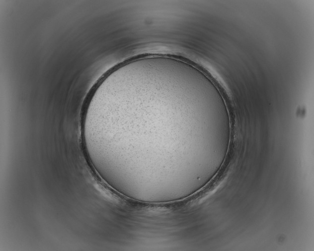 X0000091970837200709271405