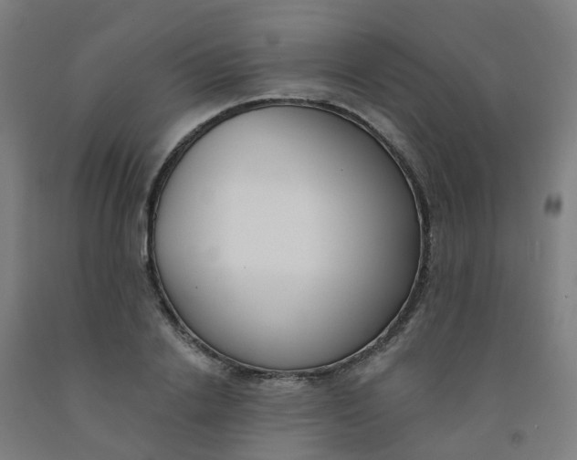 X0000091970838200709271405