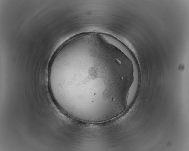 X0000091970839200709271405