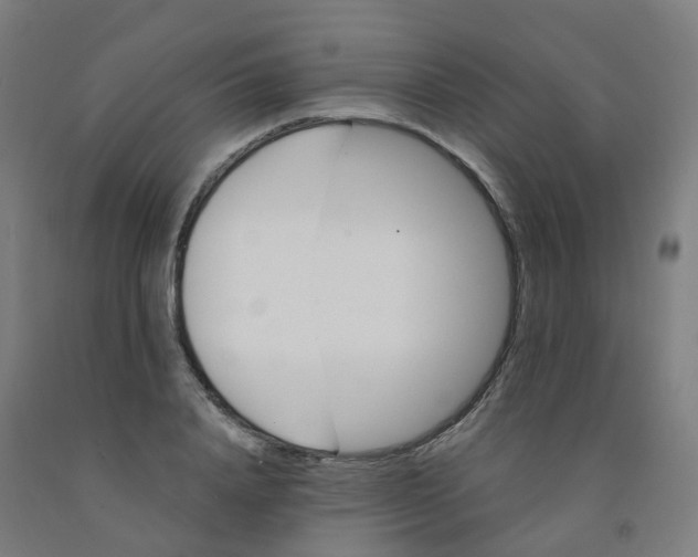 X0000091970840200709271405