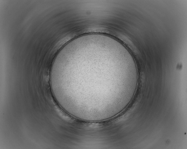 X0000091970841200709271405