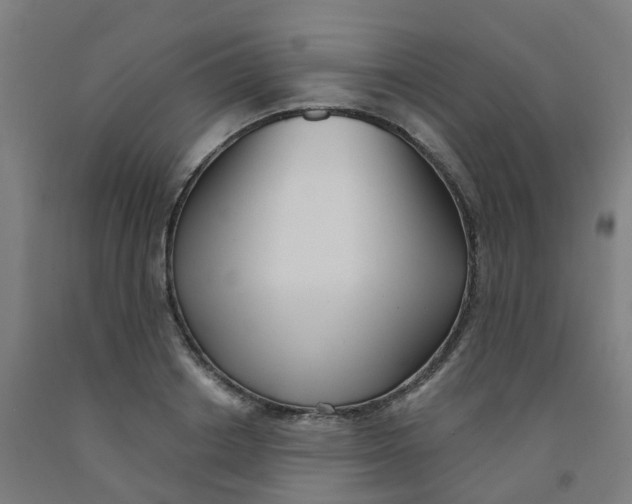 X0000091970842200709271405
