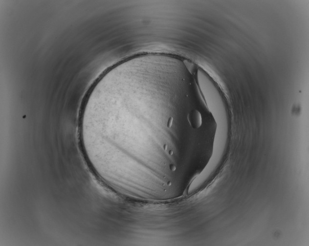 X0000091970845200709271405
