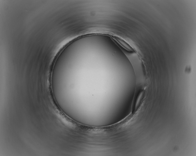 X0000091970846200709271405