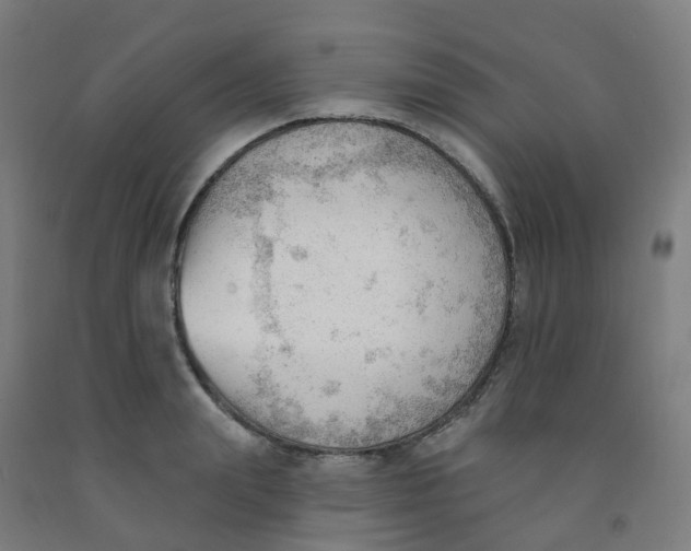 X0000091970847200709271405