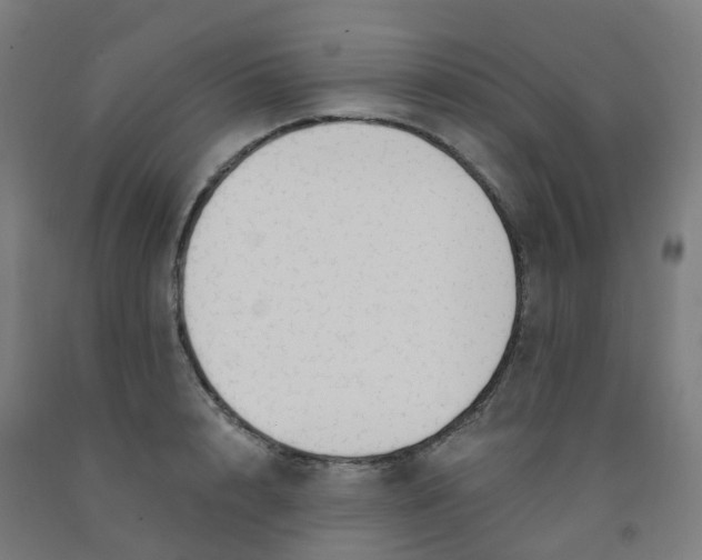 X0000091970848200709271405