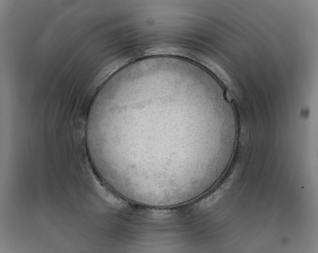 X0000091970849200709271405