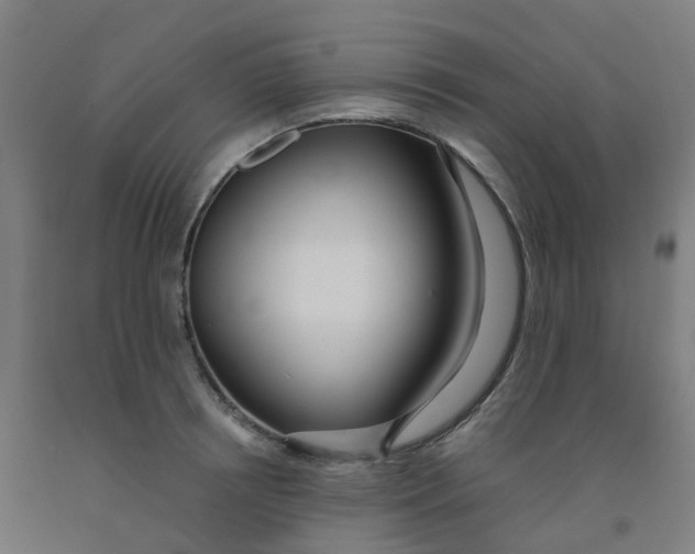 X0000091970850200709271405