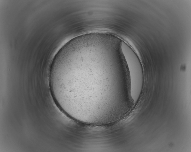 X0000091970851200709271405