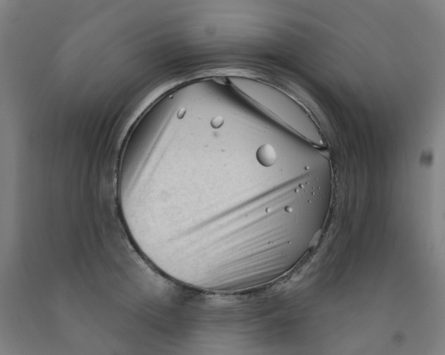 X0000091970852200709271405